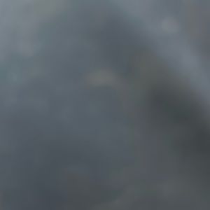 Brand new All Saints jacket